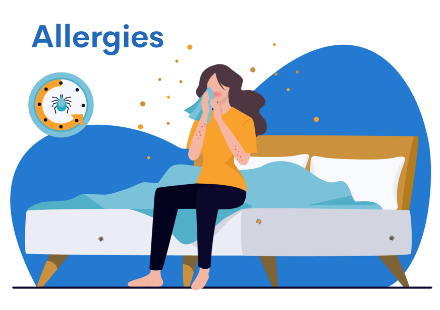 Oreiller anti acarien